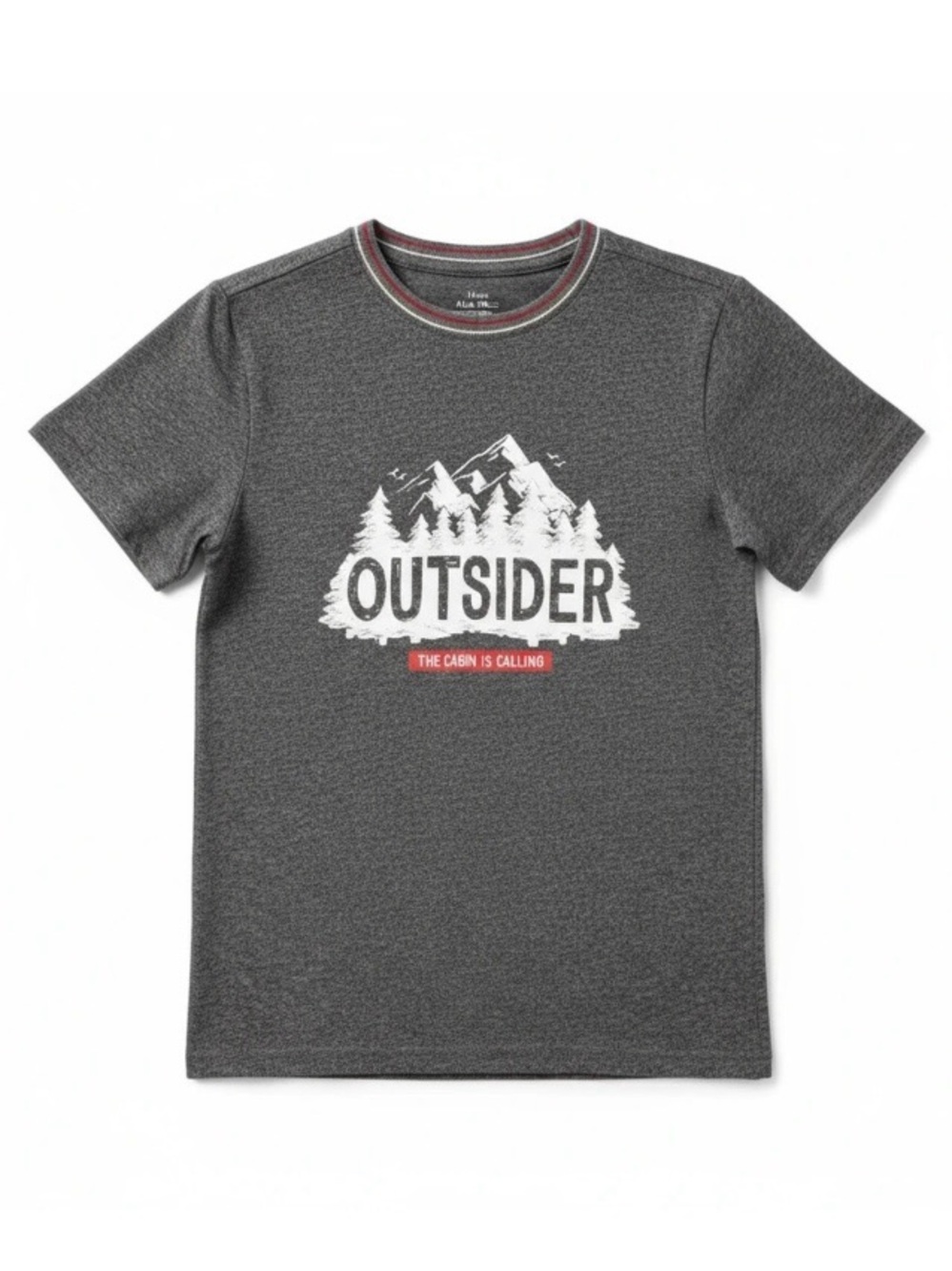 NEW! Hatley Heritage Graphic T-shirt | Size 8